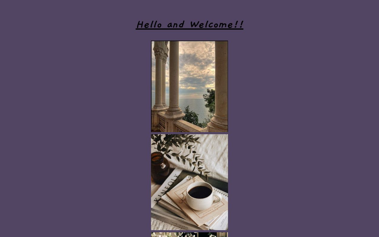 Aesthetic Vibes
